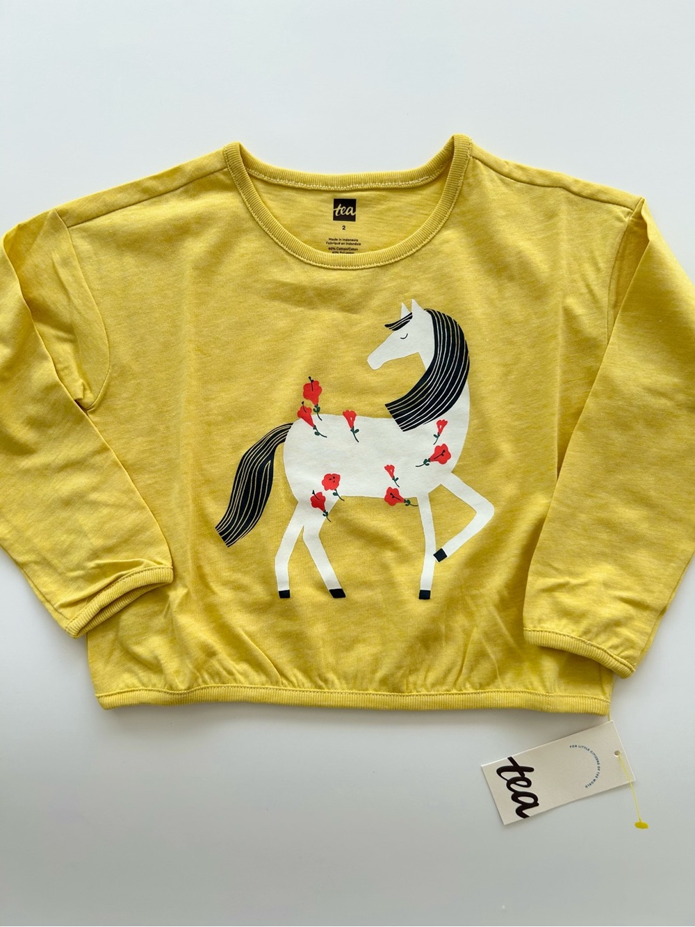 NWT Tea Collection Acacia Yellow Horse Graphic With Flowers LS Tee Girls Sz 2